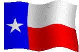 Texasan Flag